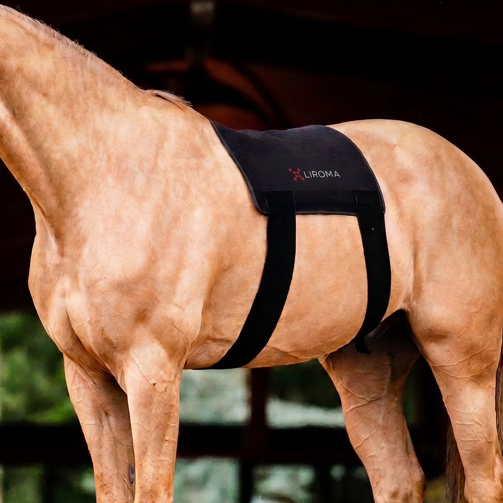 De vraag kwam van onze eigen klanten